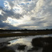 Clouds, sky and marsh on a winter afternoon by congaree