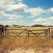 Farm gate by leggzy