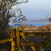 the gate and the lake by ianmetcalfe