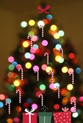 20th Dec 2016 - Bokeh tree with candy canes