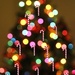 Bokeh tree with candy canes by mittens