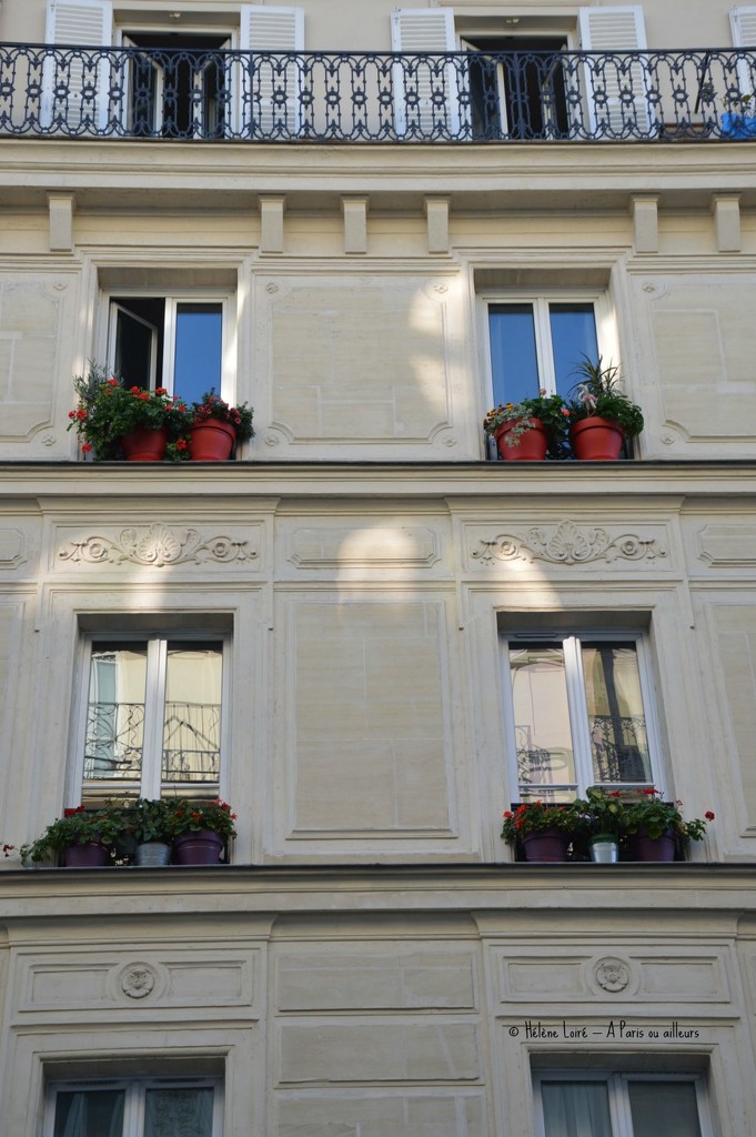Windows by parisouailleurs