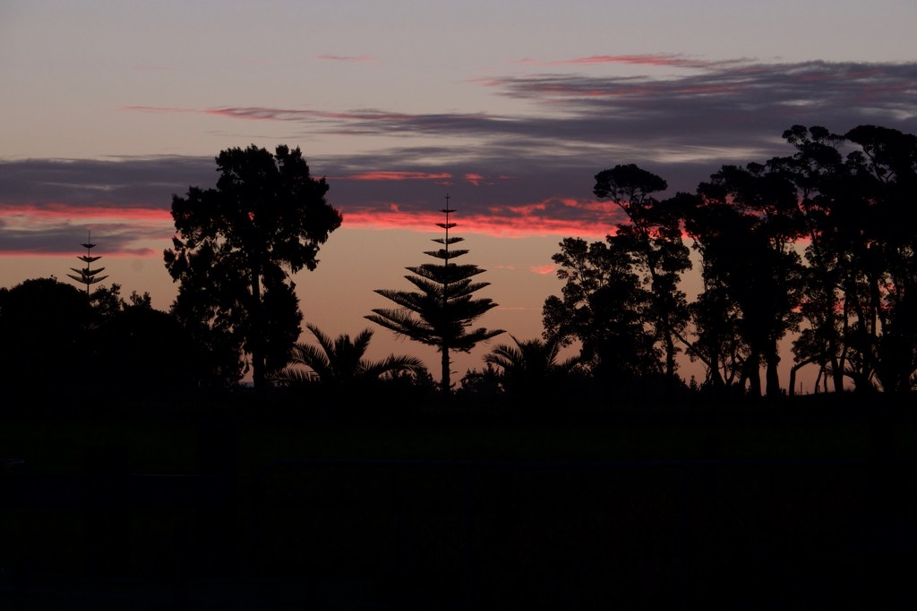another sunset by dkbarnett