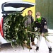 Picking up our Christmas Tree :) by lily