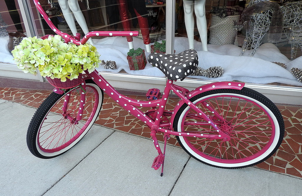 My kind of a bike! by homeschoolmom