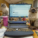 Home Office Supervisors by helenw2