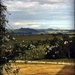 Waerenga View by yorkshirekiwi