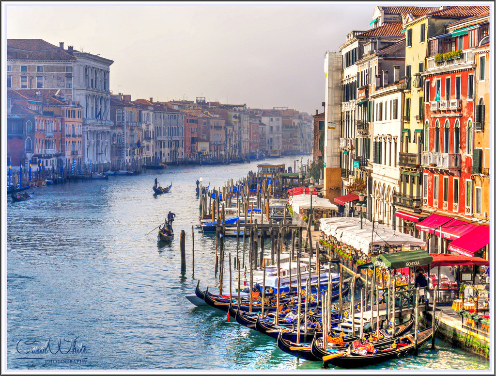 The Grand Canal, Venice (before the fog) by carolmw