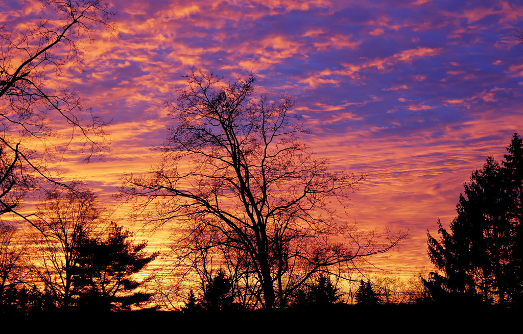 December sunset by mittens