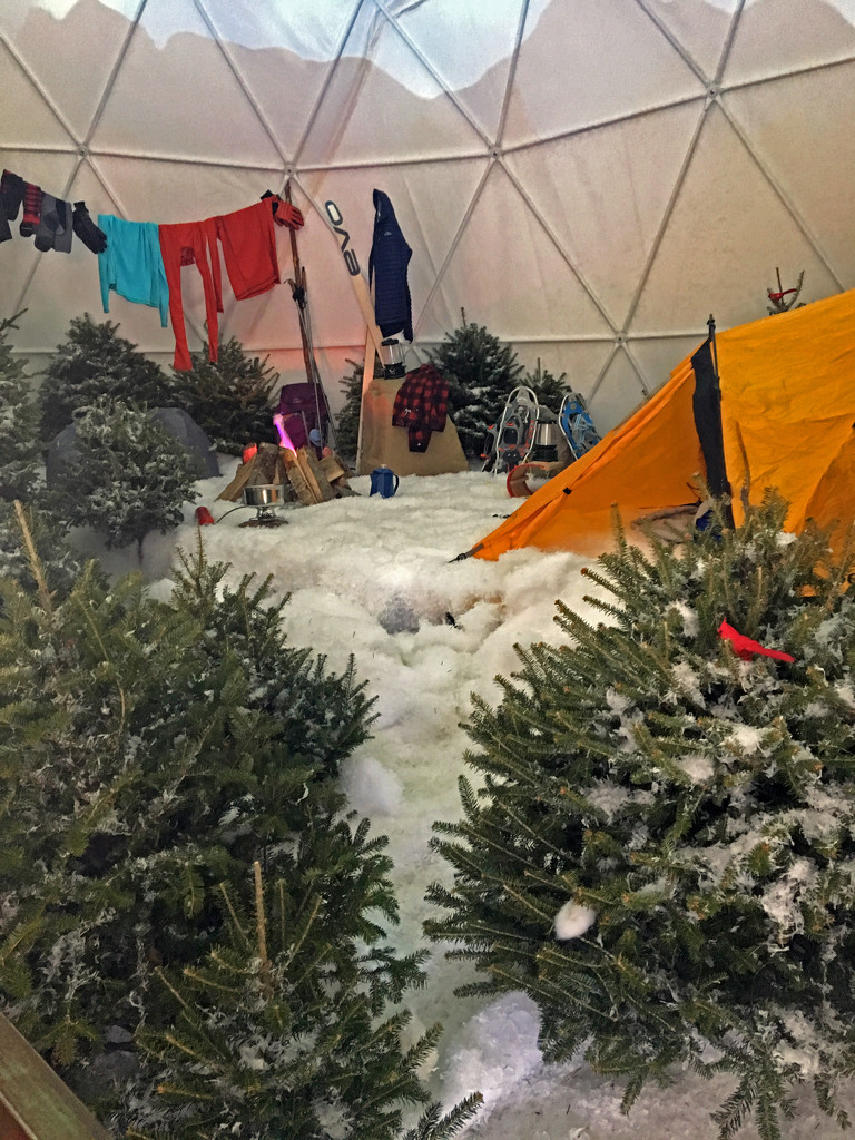LLbean Winter Camping exhibit by dianen