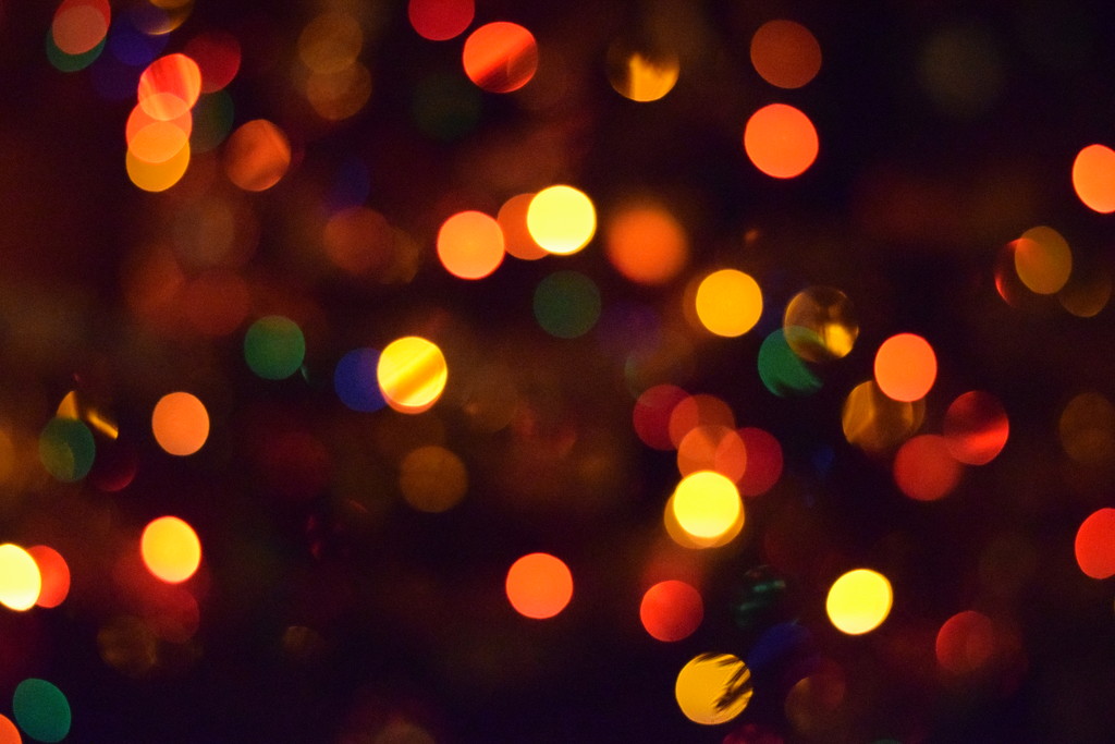Christmas tree lights by christophercox