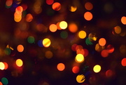 22nd Dec 2016 - Christmas tree lights