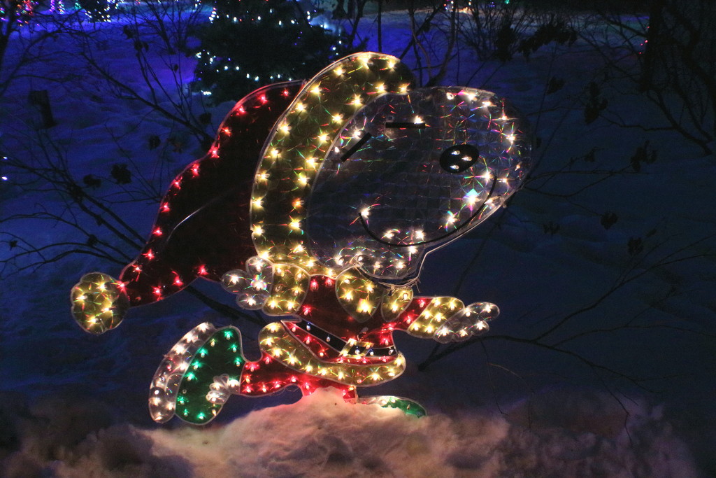 Snoopy In Christmas Lights by randy23