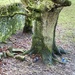 Poo r tree. by gamelee