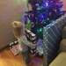 Helping put the presents under the tree by mdoelger