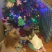 Trying to find all the presents that have her name by mdoelger