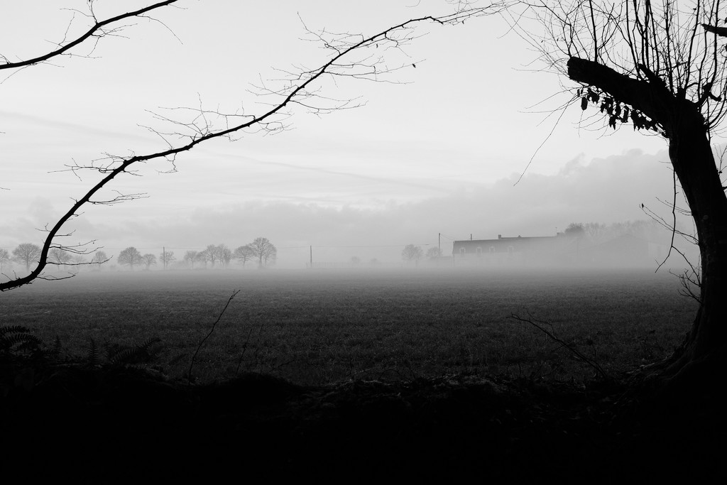 The farm at Le Plessis through the mist. by vignouse