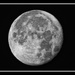 Full Moon by milaniet