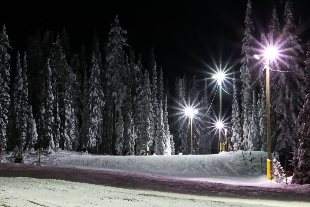 So Where Are the Night Skiers? by terryliv