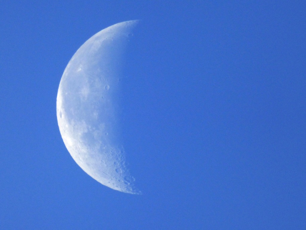 Morning moon by julienne1