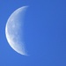 Morning moon by julienne1