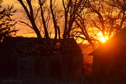 22nd Dec 2016 - Kansas Sunrise 12-22-16