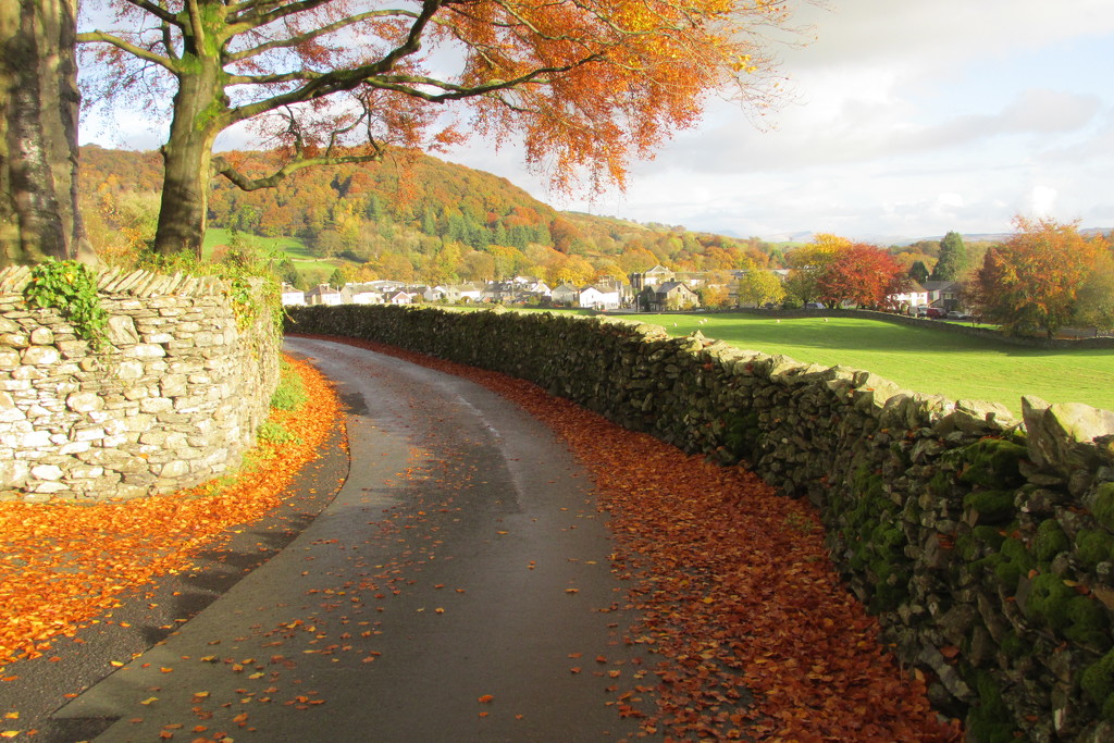 Brow Lane by anniesue