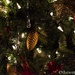 Pine cone ornament by thewatersphotos