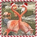Flamingo Friday - Spreading Good Cheer (or not) by joysfocus