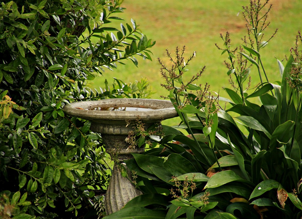 Bird bath in the garden by kiwinanna