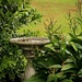 Bird bath in the garden by kiwinanna