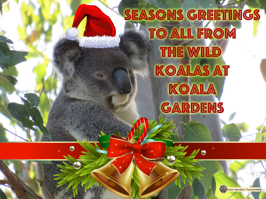 ho ho ho by koalagardens