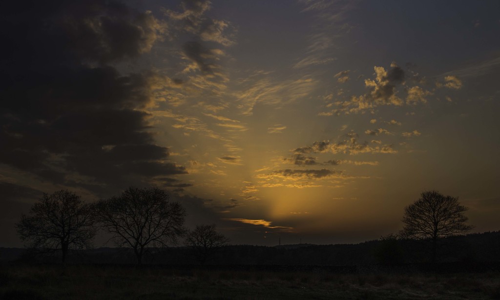 Glorious sunset by shepherdmanswife