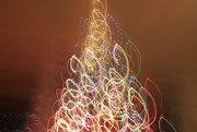 23rd Dec 2016 - Swirly Christmas Tree