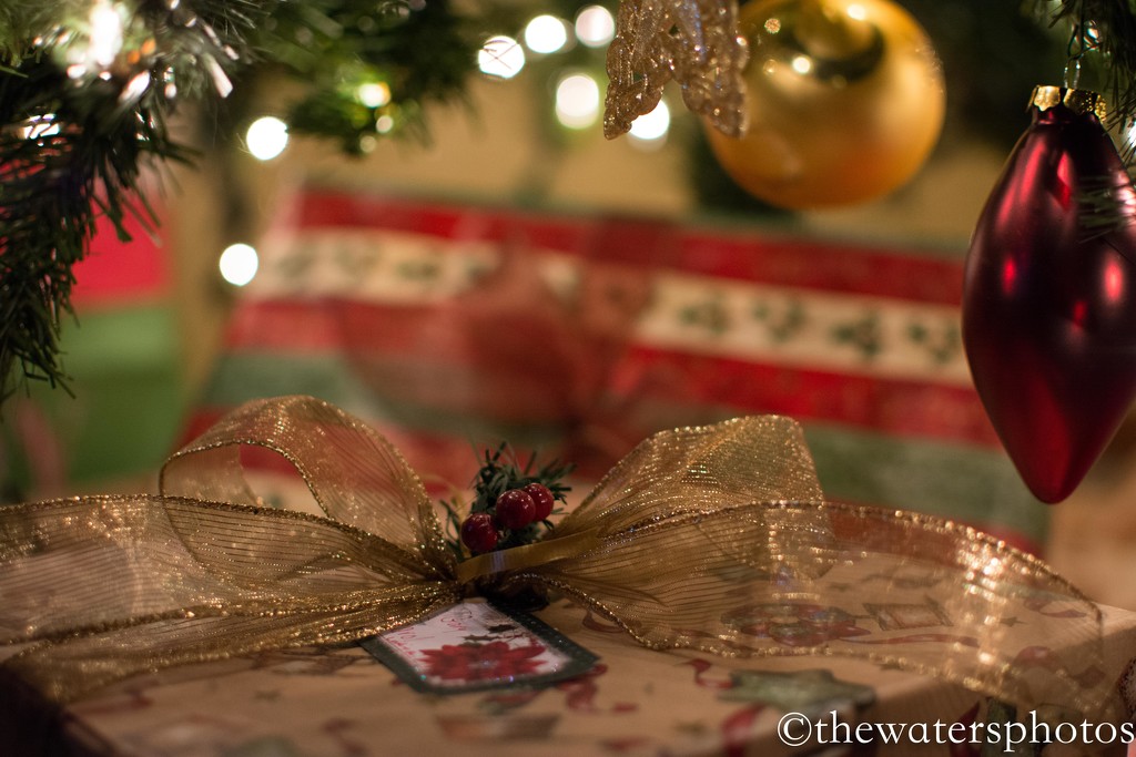 The gifts are wrapped and ready... by thewatersphotos