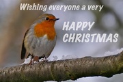 25th Dec 2016 - Christmas Wishes to All 