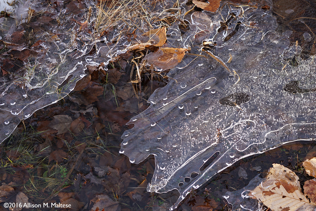 Ice Patterns by falcon11
