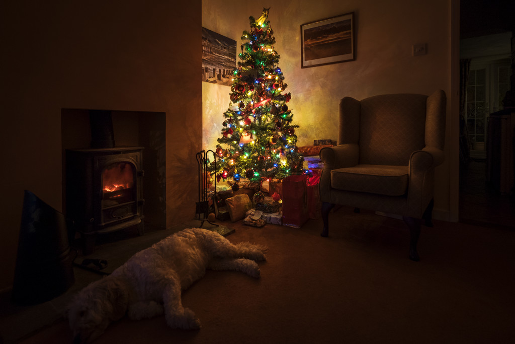 Day 359, Year 4 - 'Twas The Night Before Christmas by stevecameras