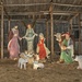 Nativity by lynne5477
