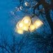 Tree lights by mcsiegle