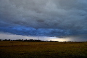 25th Dec 2016 - Kansas Christmas Storm