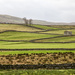 2016 12 26 - Dry stone walls by pamknowler