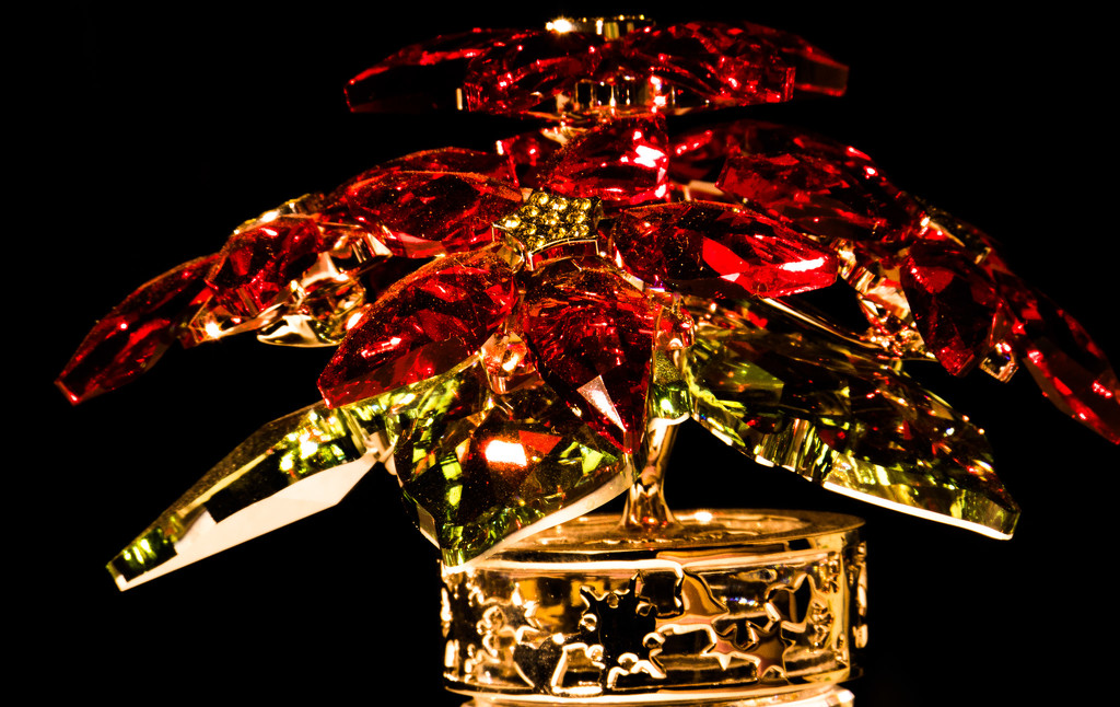 Crystal Poinsettia by randystreat