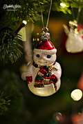 27th Dec 2016 - Christmas Tree Ornaments