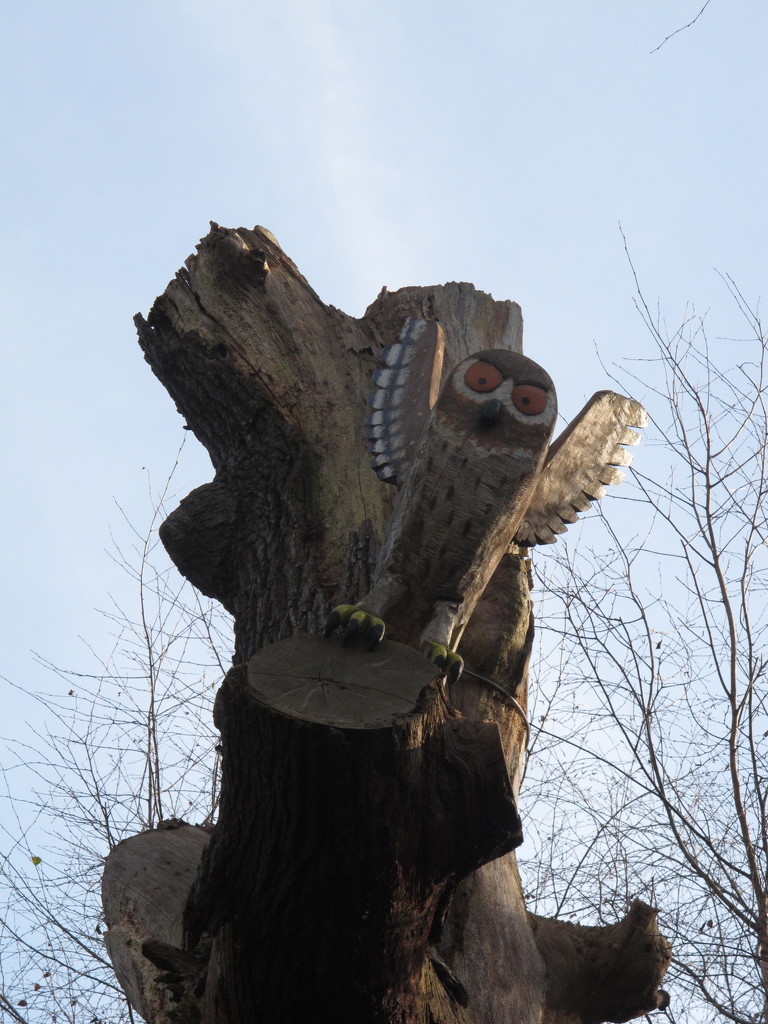 The Wooden Owl by davemockford