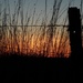 For Kareen - Flint Hills Kansas Sunset by mcsiegle