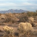 Desert Landscape by wilkinscd