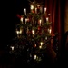 This year's tree by bruni