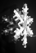 23rd Dec 2016 - Snowflake or two