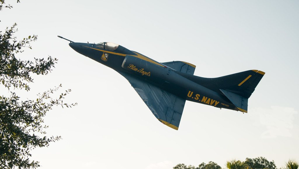 Blue Angel Pass By! by rickster549